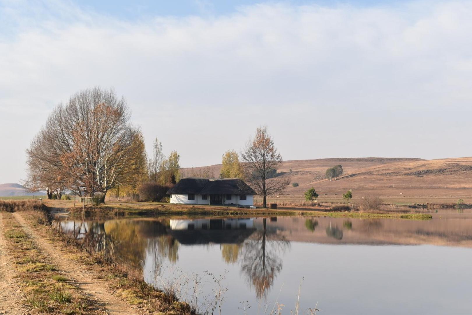 Dieu Donne Cottage Underberg Luaran gambar